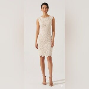 Temperance Cream Lace Cocktail Dress Sleeveless Sheath Size XL NWT